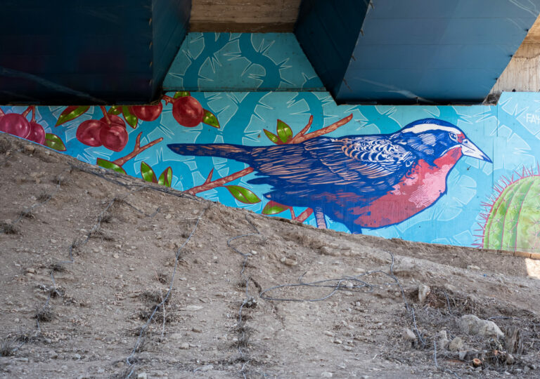 Vitacura: El Jarrón x Faya